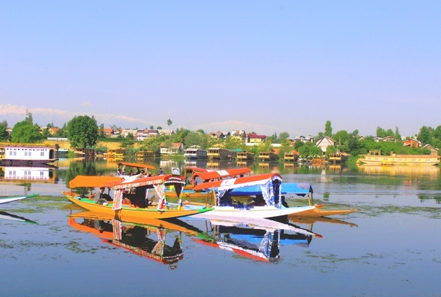 hotel rooms kashmir